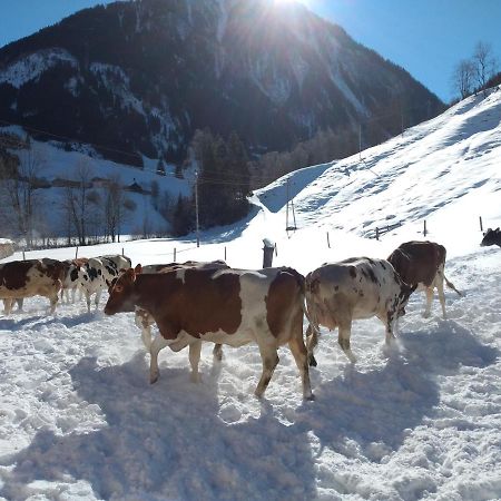 Ferienwohnung Urlaub am Bauernhof Schiederhof Fusch an der Grossglocknerstrasse Exterior foto