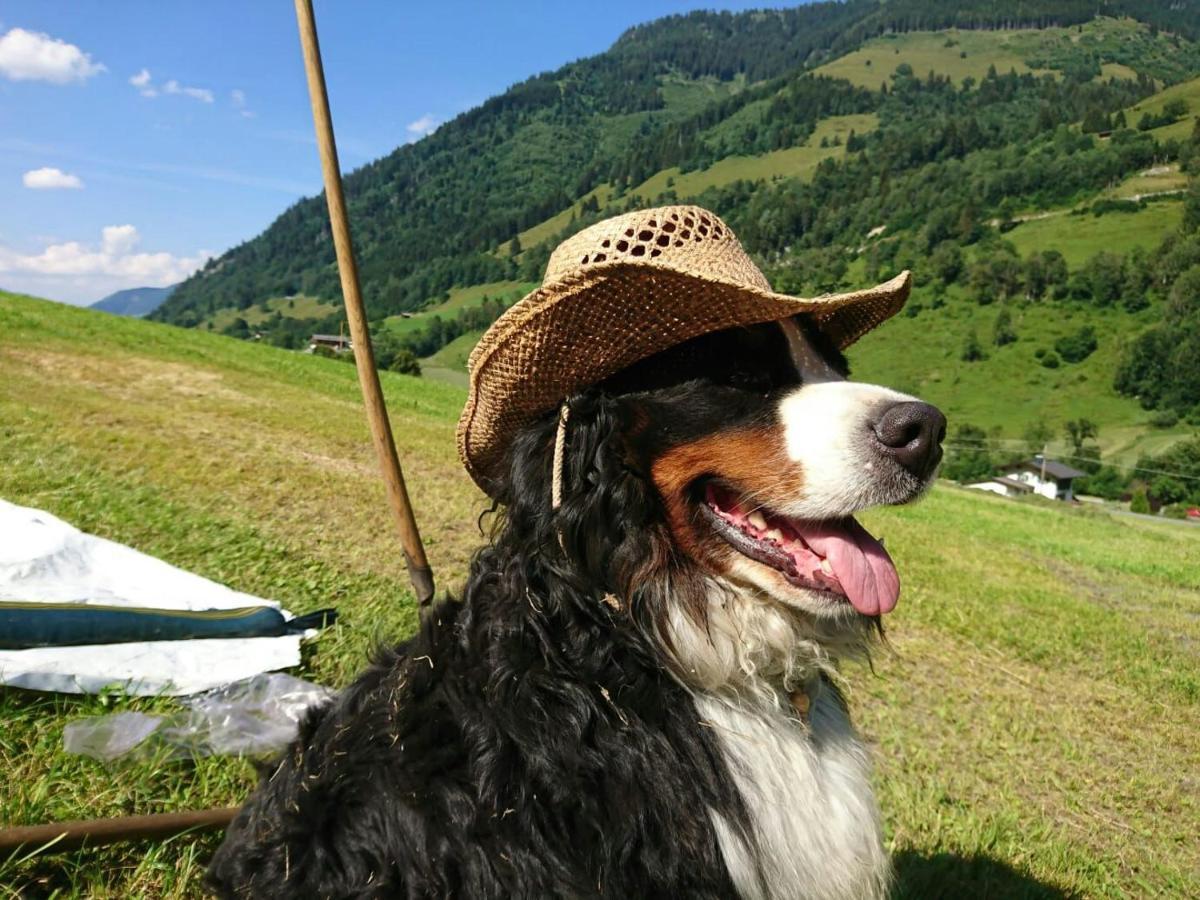 Ferienwohnung Urlaub am Bauernhof Schiederhof Fusch an der Grossglocknerstrasse Exterior foto