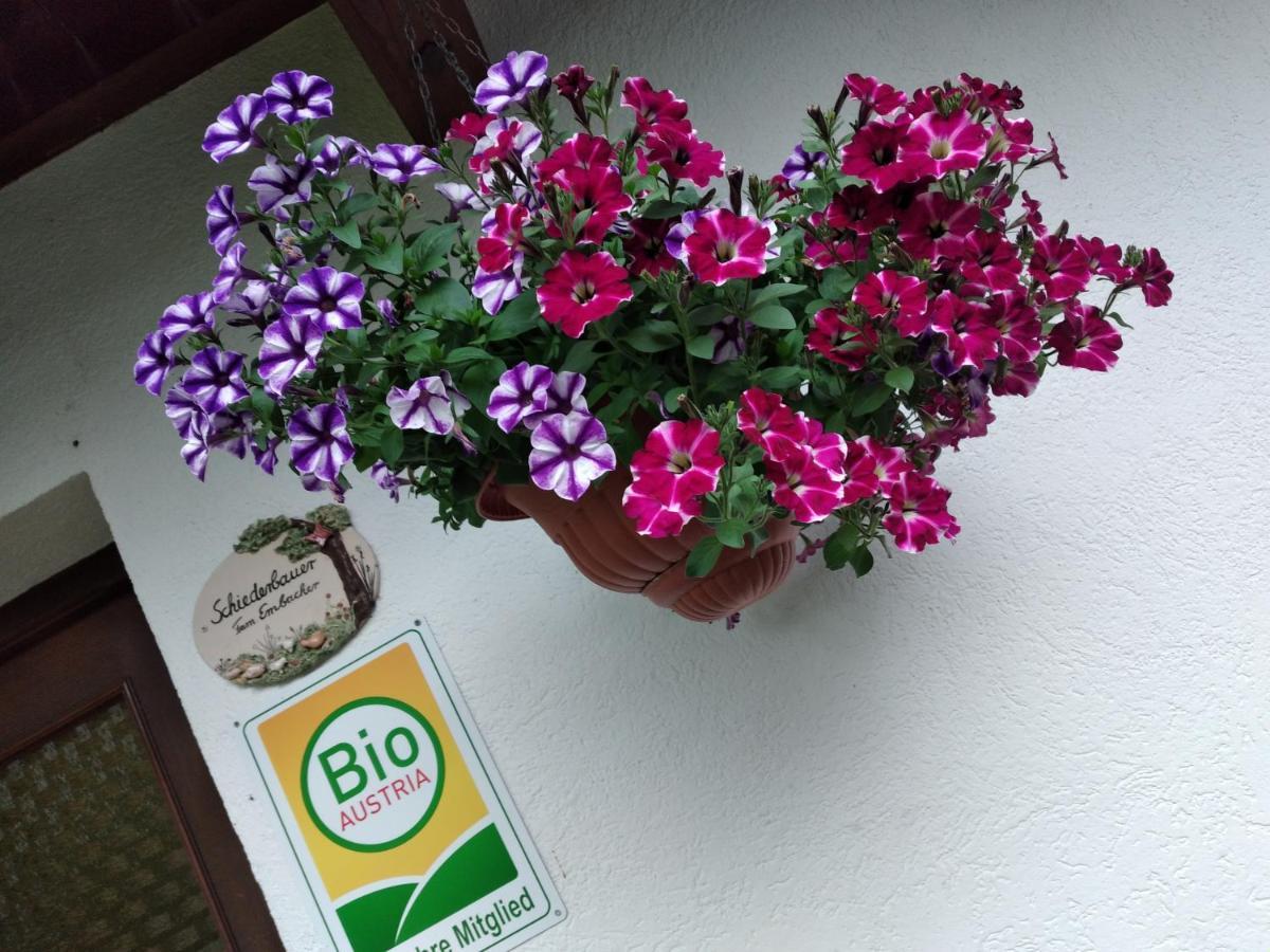 Ferienwohnung Urlaub am Bauernhof Schiederhof Fusch an der Grossglocknerstrasse Exterior foto