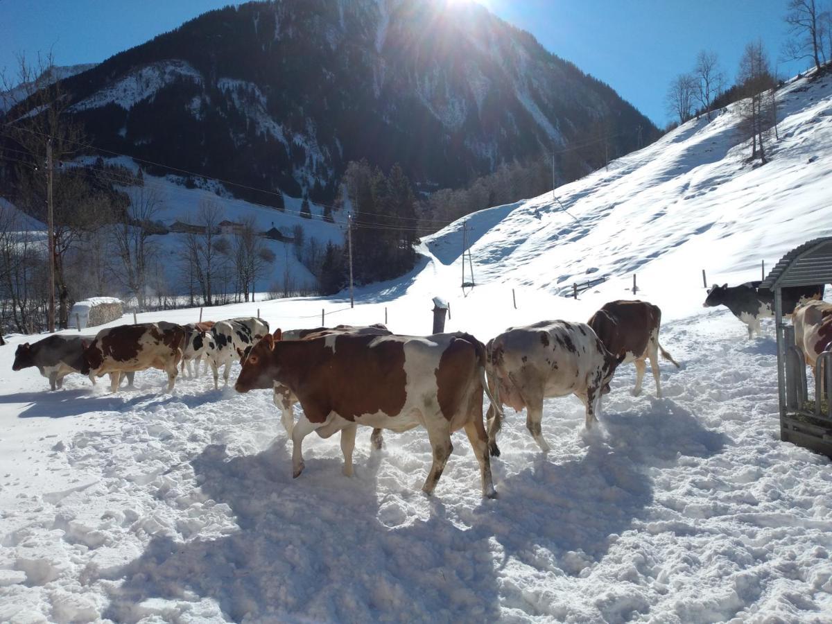 Ferienwohnung Urlaub am Bauernhof Schiederhof Fusch an der Grossglocknerstrasse Exterior foto